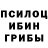 Псилоцибиновые грибы мицелий Katelnikov Andrew
